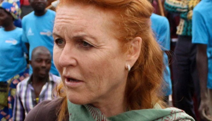 Sarah Ferguson ‘on the brink of a breakdown’ amid renewed scrutiny