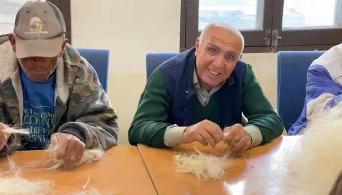 A dedicated team of intellectually disabled individuals sorts goat hair to create traditional rugs the Sharma way at Hunarkun Foundation in Hunza.— Reporter