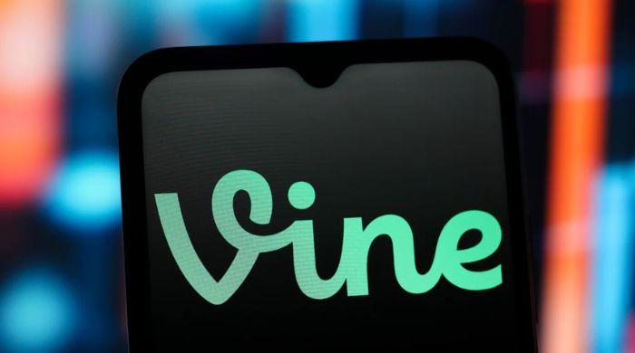 Twitter co-founder backs vine reboot ‘diVine' with trove of archived clips