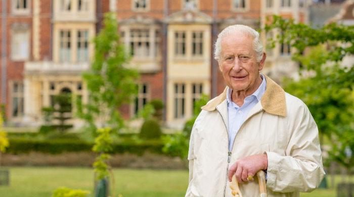 King Charles releases brand new portrait for 77th birthday: See here