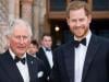 Prince Harry plans huge Christmas surprise for King Charles