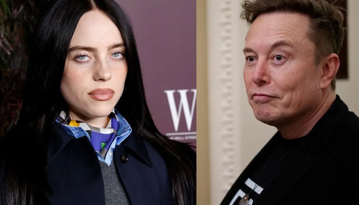 Billie Eilish calls out Elon Musk for not giving wealth toward humanitarian efforts