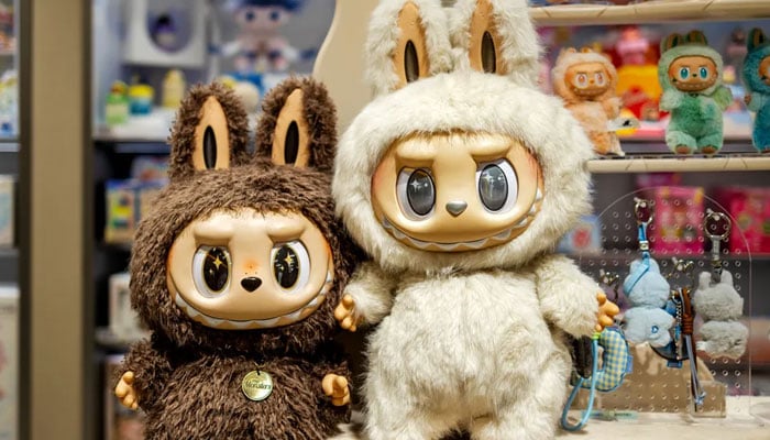 Labubu soon to make debut on big screen