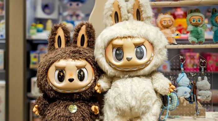 Sony Pictures to take Labubu to big screen