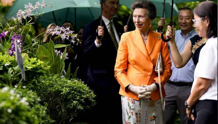 Princess Anne chooses silence in awkward moment during foreign visit