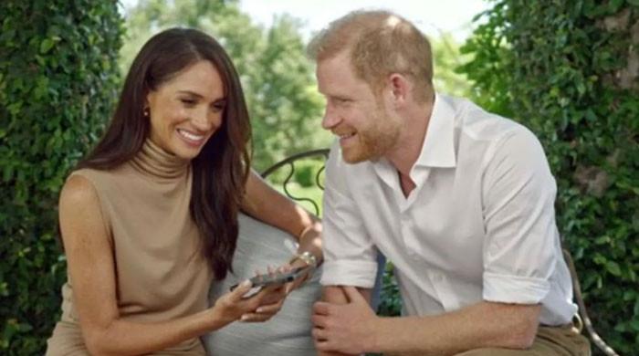 Prince Harry, Meghan secretly courted to shake up monarchy