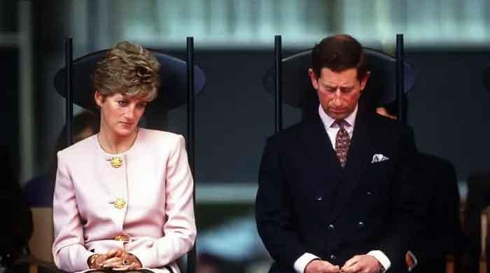 King Charles' sole public declaration of love for Princess Diana revealed