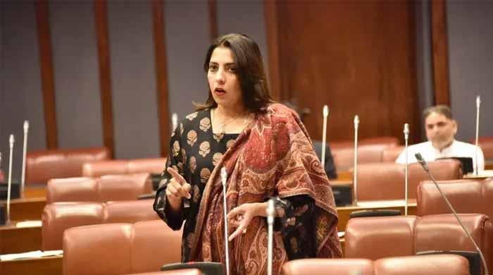 PPP's Palwasha Khan calls FIA, NCCIA 'corrupt institutions'