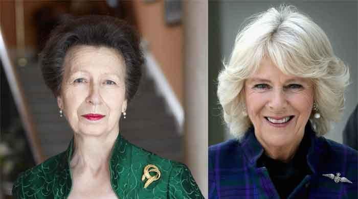 Princess Anne put Buckingham Palace on alert with her 'romance' with Camilla's ex husband  