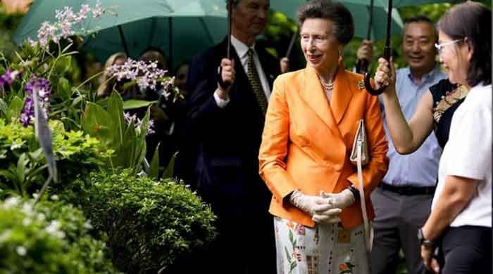 Princess Anne chooses silence in awkward moment during foreign visit 