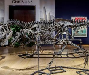 Dinosaur fossils discovered on Irish island with 'wrong rocks'