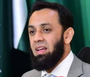 Tarar takes notice of fake video targeting journalist Benazir Shah