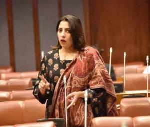 PPP's Palwasha Khan calls FIA, NCCIA 'corrupt institutions'