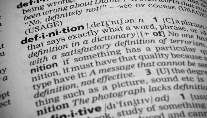 A representational image of a dictionary.—AFP/File