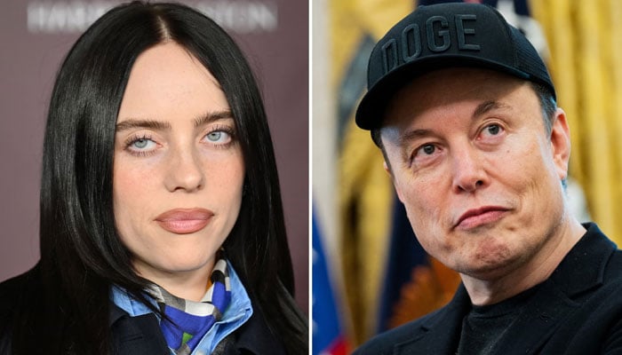 Elon Musk slams Billie Eilish after her flak