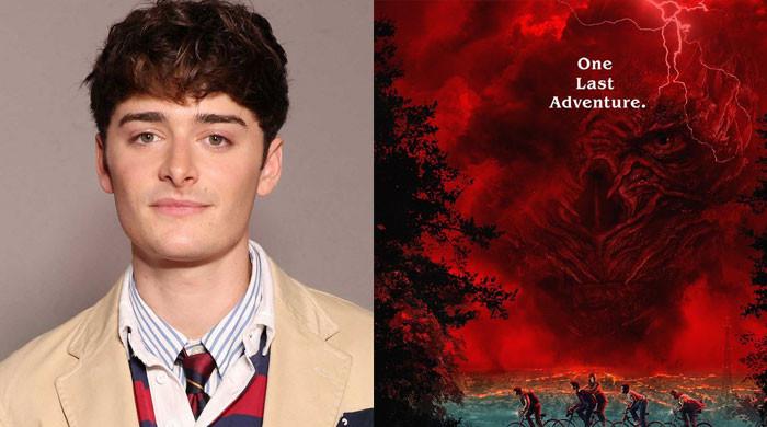 'Stranger Things' star Noah Schnapp drops major spoiler about upcoming sequel