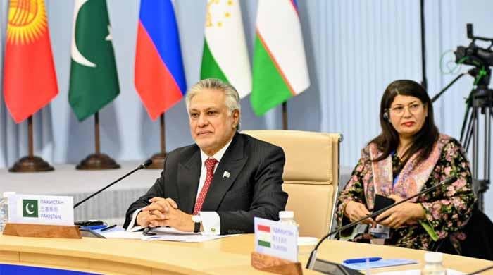 Dar pushes SCO to activate financial tools, accelerate economic integration