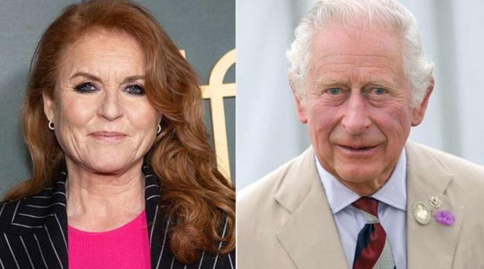 Sarah Ferguson could deliver a 'death blow' to royal family amid latest crisis