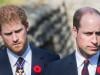 Prince Harry warned as he ‘hijacks' Prince William spotlight 