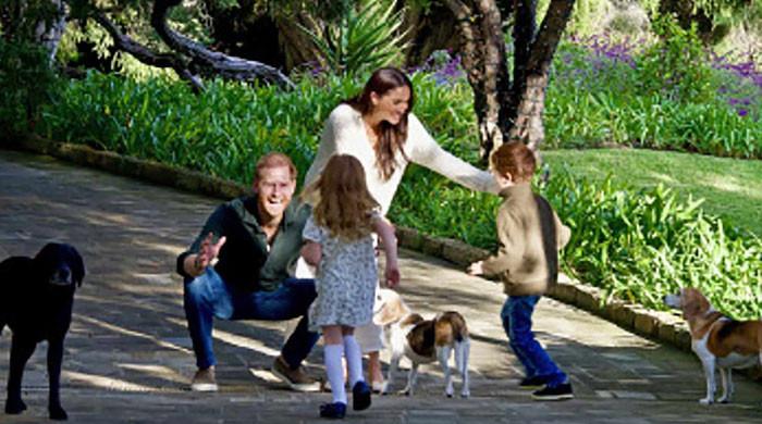 Meghan Markle spills Prince Harry bee harvesting job in confession 