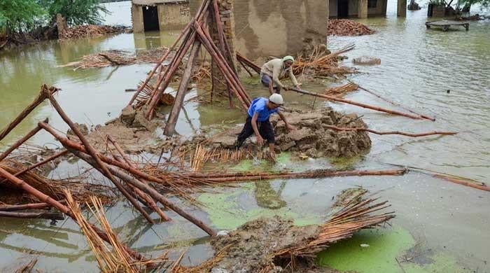 A COP30 agenda for Pakistan