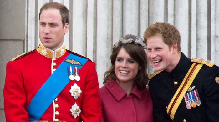 Prince Harry only offered to help Eugenie to get ‘a win' over William?