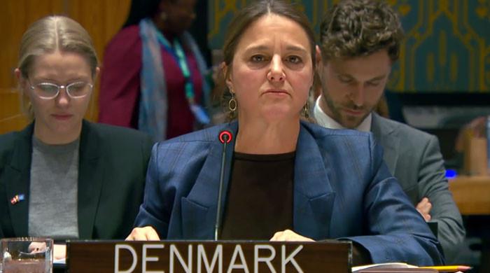 UNSC panel terms Afghan-backed TTP serious threat to Pakistan security