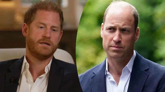 Harry's decision going to ‘go down like a lead balloon' as William suspects family division