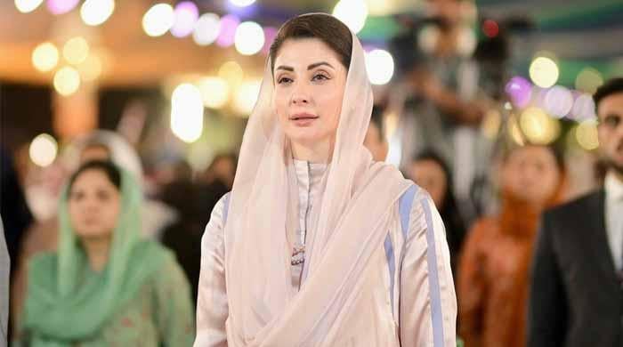 US lawmakers praise Punjab's brick kiln reforms