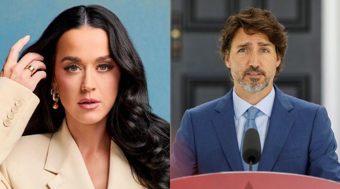 Justin Trudeau provides Katy Perry with 'exactly what she needs right now'