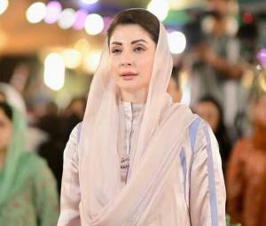 US lawmakers praise Punjab's brick kiln reforms