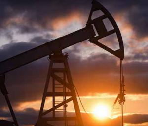 PPL denies plan to build 'artificial island', says work limited to safe drilling setup