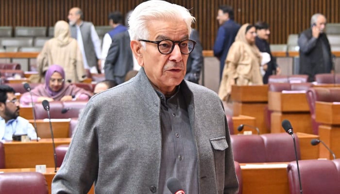 Defence Minister Khawaja Asif speaks during a National Assembly session in Islamabad, on November 14, 2025. — Facebook@NationalAssemblyOfPakistan