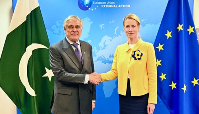 Deputy Prime Minister and Foreign Minister Ishaq Dar (left) and the EU High Representative and Vice President Kaja Kallas during a meeting in Brussels, Germnay on November 22, 2025. — X/@ForeignOfficePk