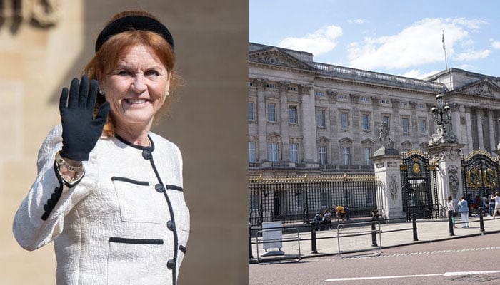 Sarah Ferguson sets Palace alarm bells ringing: Now its Fergies time