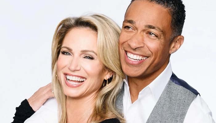 T.J. Holmes, Amy Robach slammed for plotting engagement to revive careers