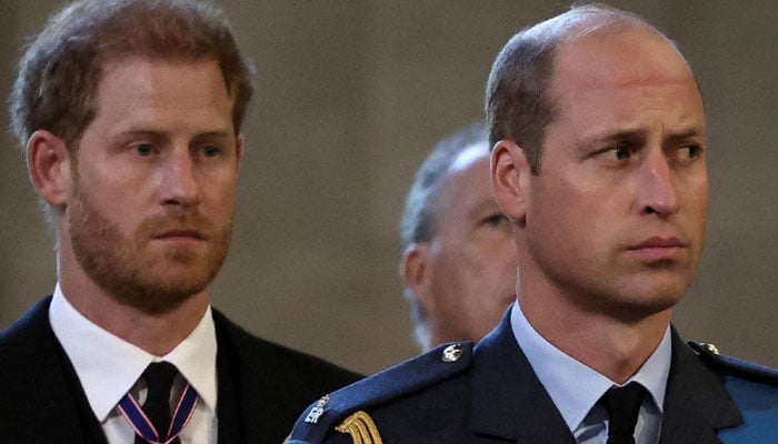 Royal experts weigh in on exact moment Prince William and Harrys relationship unraveled