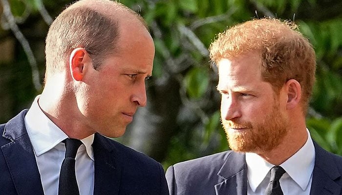 Prince Harry hurt as Prince William advice ‘landed badly