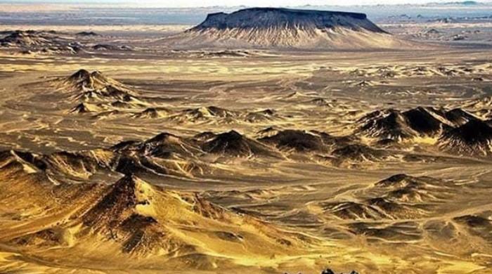 US Export-Import Bank to invest in Pakistan's critical mineral projects