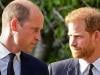 Prince Harry hurt as Prince William advice ‘landed badly'