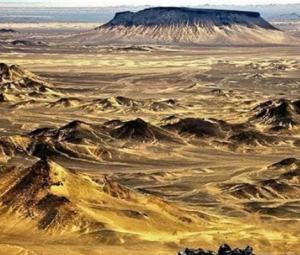 US Export-Import Bank to invest in Pakistan's critical mineral projects