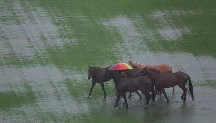 A man uses an umbrella to walk horses through a partially flooded polo field as rain pours in Kuala Lumpur, Malaysia, November 24, 2025.— Reuters