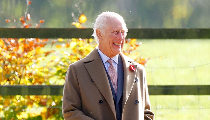 King Charles cheers Welsh care home garden