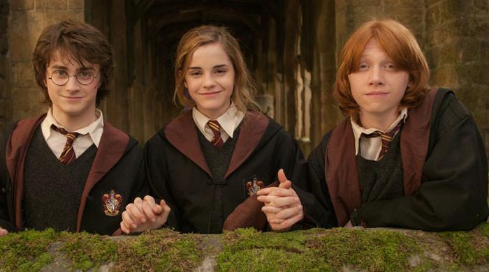 'Harry Potter' actor addresses chances of OG cast appearing in HBO Reboot