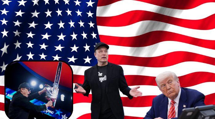 Trump's DOGE experiment meets sudden shutdown: Find out why