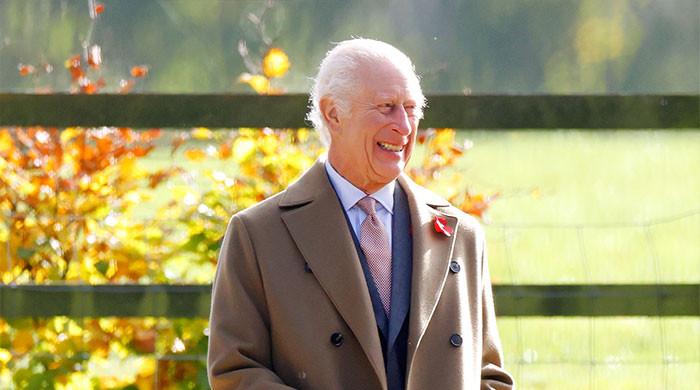 King Charles cheers Welsh care home garden