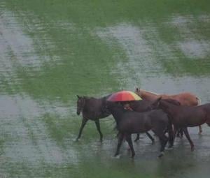 Severe floods displace thousands in Thailand and Malaysia, at least 8 killed