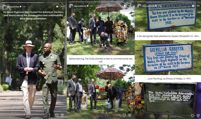 King Charles office issues update as Prince Edward receives honour