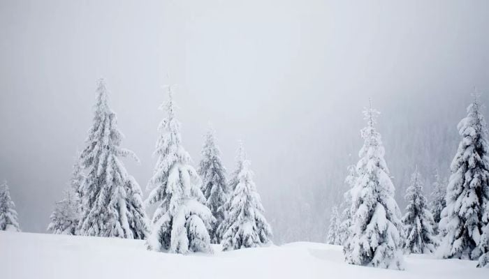 Will it snow on Christmas Day? Met office outlook points to colder trend