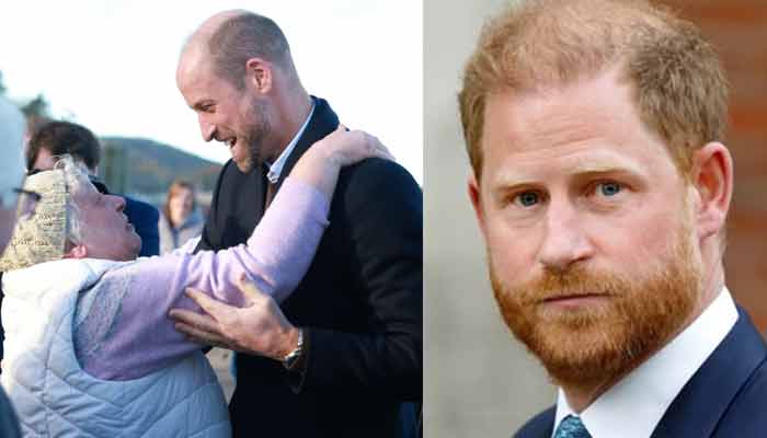 Prince William charms Wales as Harry makes surprise appearance